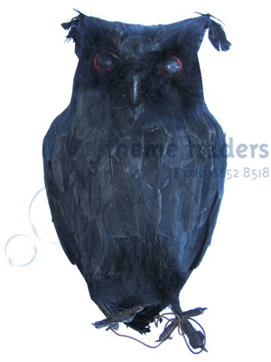 Black Owl Props, Prop Hire