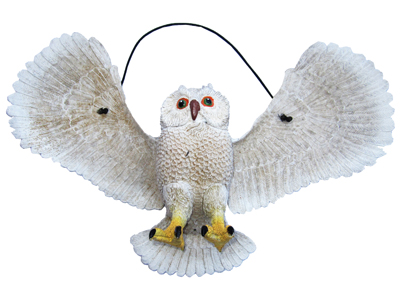 Flapping owl Props, Prop Hire