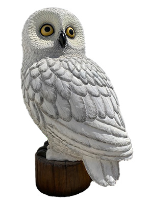 Owl Statue Props, Prop Hire