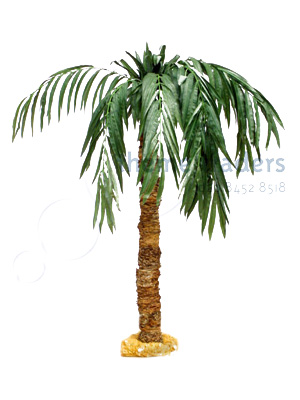 Fake Palm Trees Props, Prop Hire