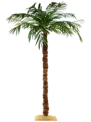 Tropical Palm Trees Props, Prop Hire