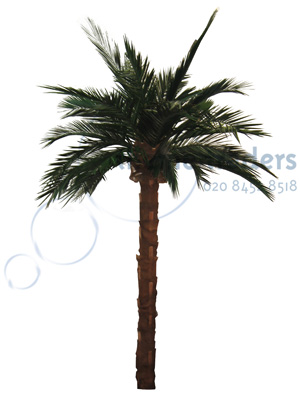 Palm Trees over 2.5m Props, Prop Hire