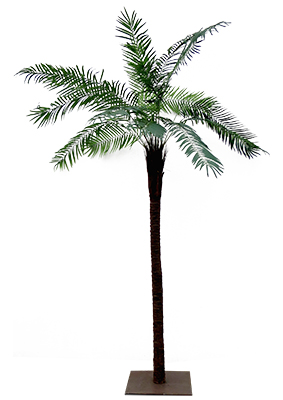 Palm Tree 2.9 m Props, Prop Hire