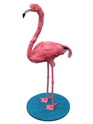 Feather Flamingo(weathered scrawny) Props, Prop Hire