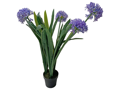 Iris Plants Props, Prop Hire