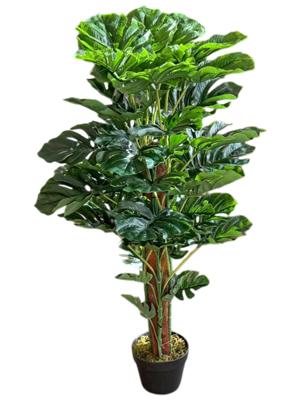 Cheese Plants Props, Prop Hire