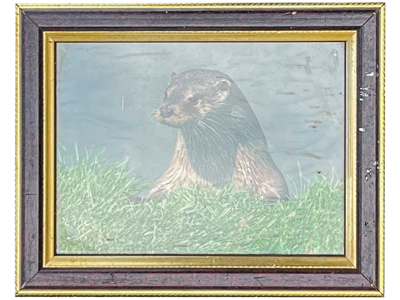 Otter Wall Art Painting Print Props, Prop Hire