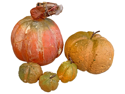 Pumpkins Props, Prop Hire