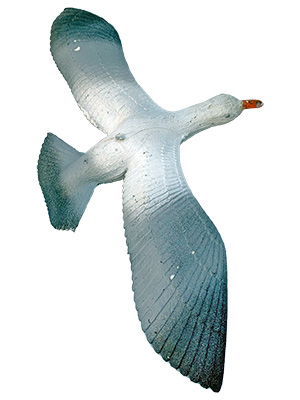 Seagulls Props, Prop Hire