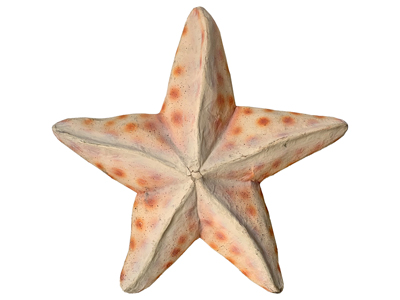 Starfish Props, Prop Hire