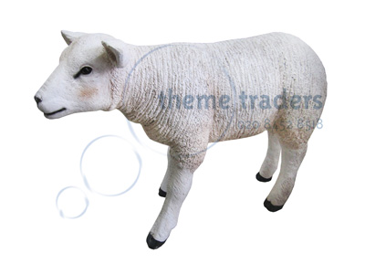 White lamb Props, Prop Hire