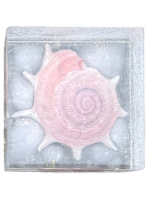 Pink Shell Paperweight Props, Prop Hire