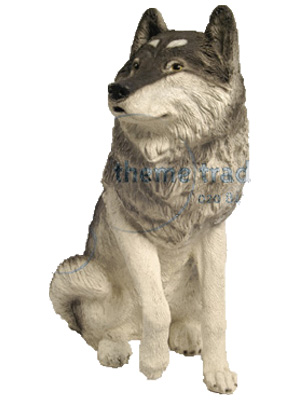 Husky Dog Props, Prop Hire