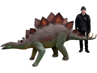 3.5 Metre Stegosaurus Dinosaur Statue Props, Prop Hire