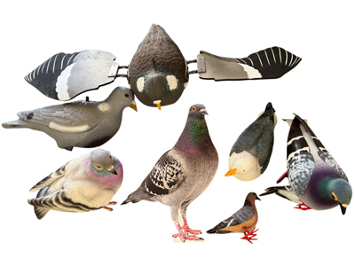 Pigeons Assorted Props, Prop Hire