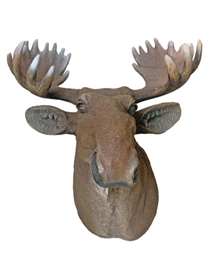 Fibreglass Moose Head Props, Prop Hire