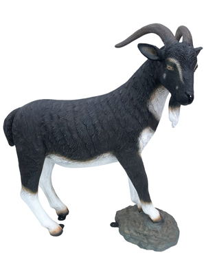 Goat Full Size Props, Prop Hire