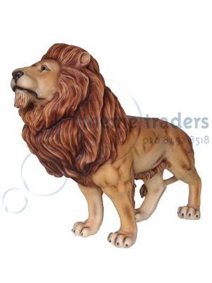 Lion Props, Prop Hire