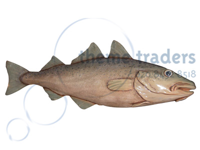 Trout Fish Props, Prop Hire