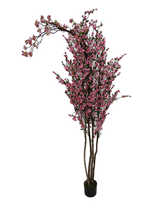 Blossom Tree Props, Prop Hire