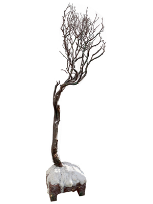 Skeleton Tree Props, Prop Hire