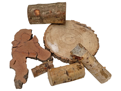 Log and Tree Sections Props, Prop Hire