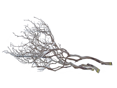 Bleached Beach Driftwood Twig Tree Props, Prop Hire