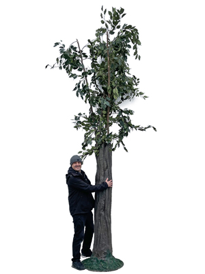 4 Metre Tree Props, Prop Hire