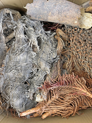 Dried Twigs Pods Branches Bushes Drift Flowers Props, Prop Hire