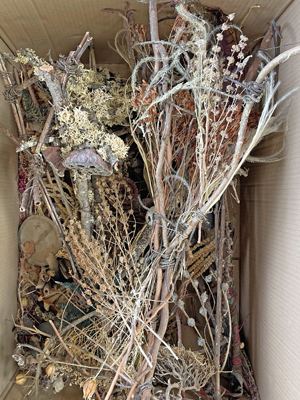 Dried Twigs Pods Branches Bushes Drift Flowers Props, Prop Hire