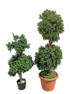 Small Topiary Trees Props, Prop Hire