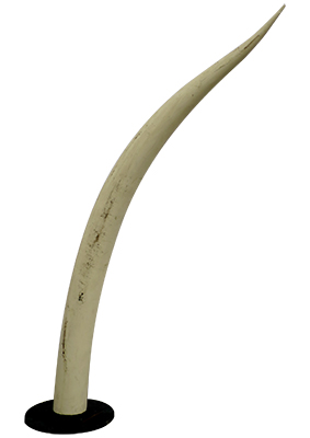 Giant Standing Tusk Props, Prop Hire