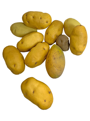 Potatoes Props, Prop Hire