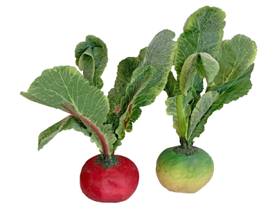Turnips Props, Prop Hire